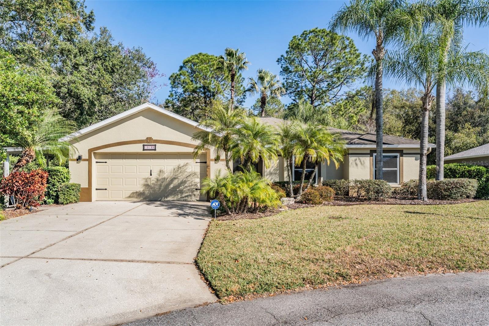 Photo of 10133 COLLAR DRIVE SAN ANTONIO FL 33576