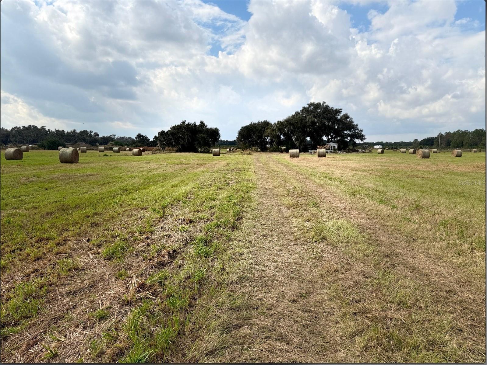 Photo of 13029 S COUNTY ROAD 39 LITHIA FL 33547
