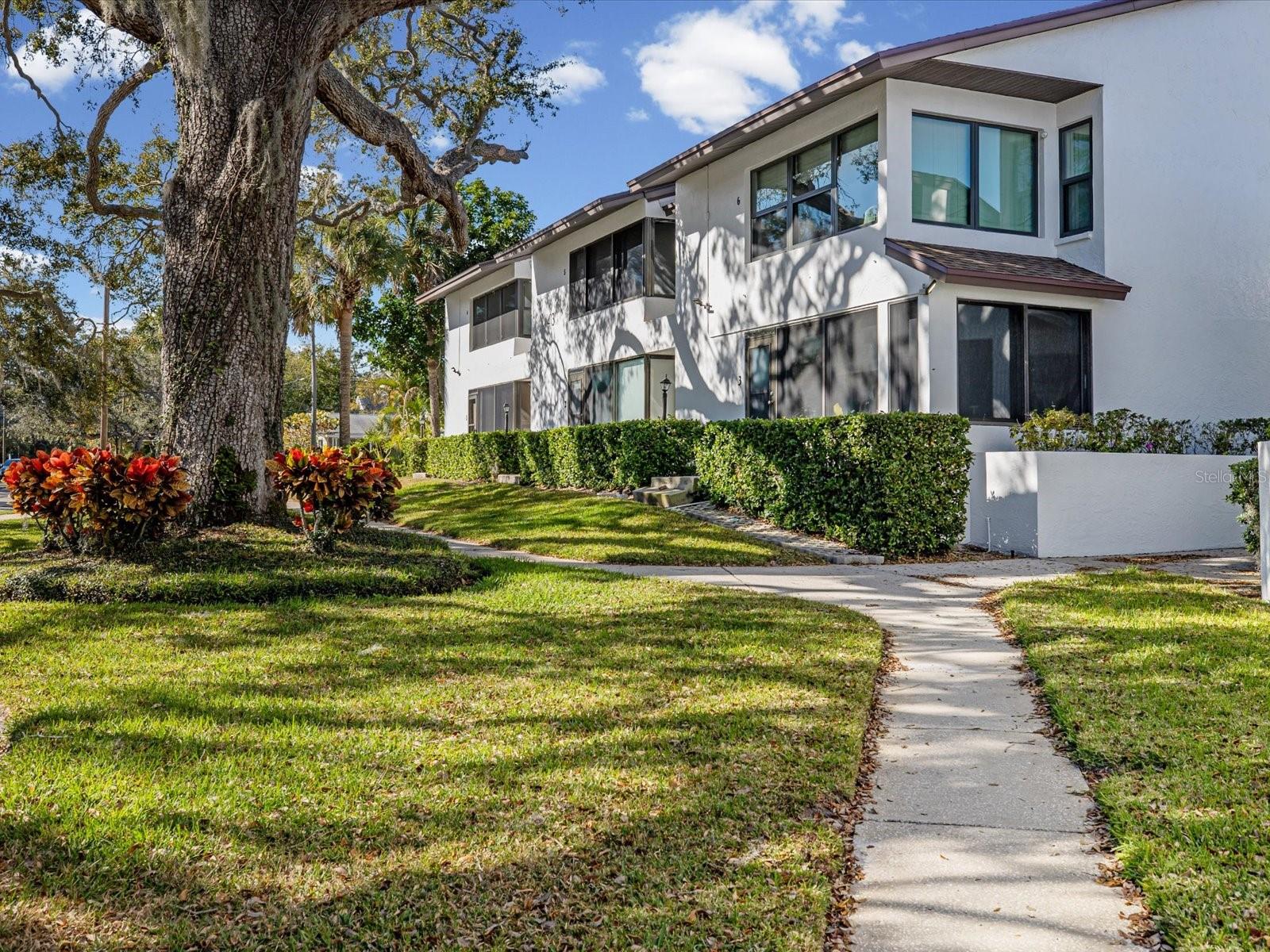 Photo of 413 S BAYSHORE BOULEVARD #4 SAFETY HARBOR FL 34695