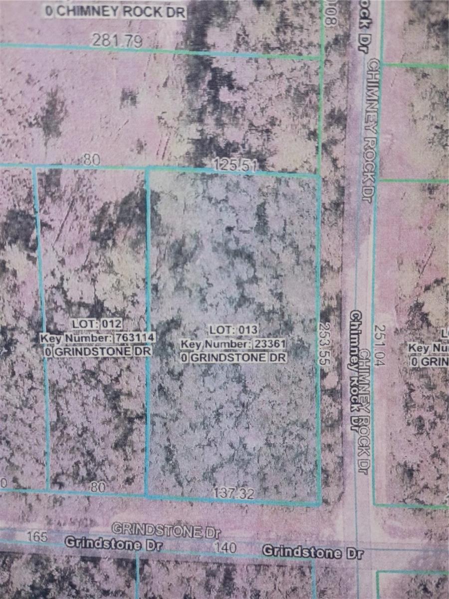 Photo of GRINDSTONE DRIVE WEBSTER FL 33597