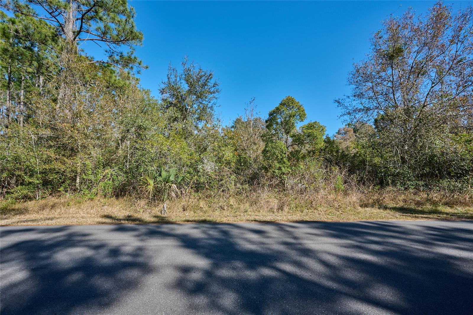Photo of 0 LANTANA DRIVE INDIAN LAKE ESTATES FL 33855