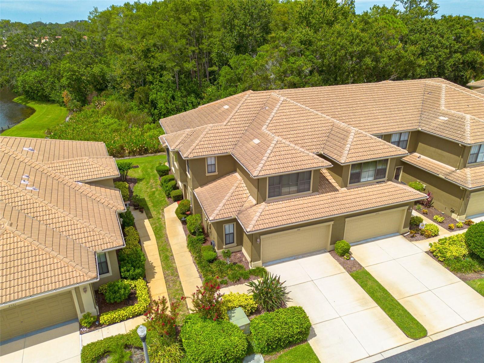 Photo of 2567 GLORIOSA DRIVE PALM HARBOR FL 34684