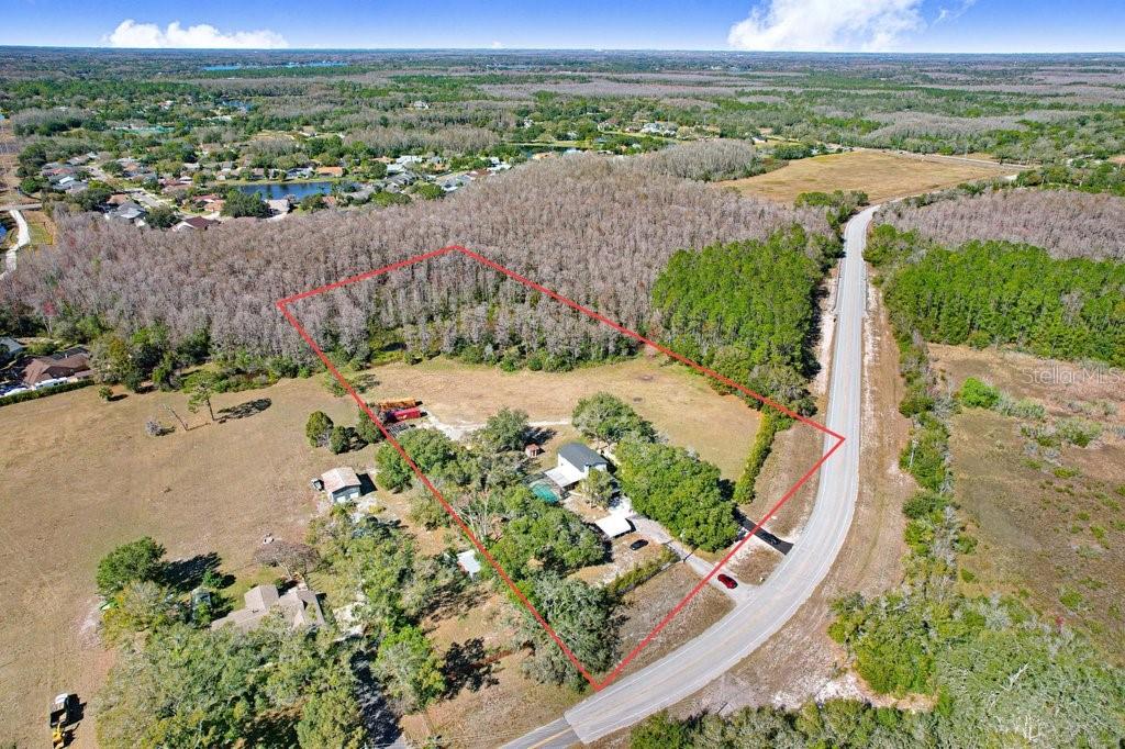 Photo of TOBACCO RD LUTZ FL 33558