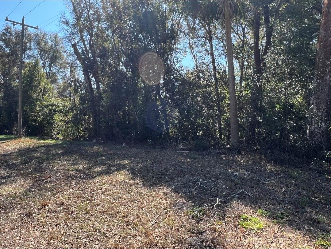 Photo of PALACKY STREET BROOKSVILLE FL 34604