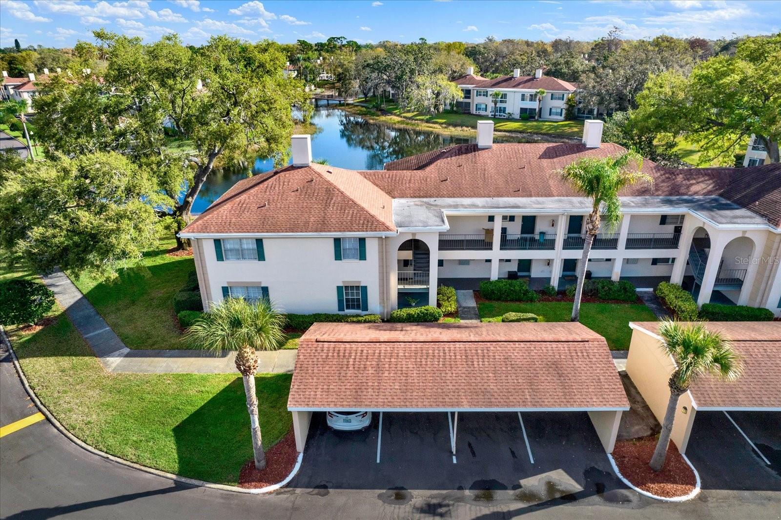 Photo of 10330 CARROLLWOOD LANE #95 TAMPA FL 33618