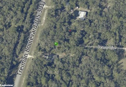 Photo of 7466 TREIMAN BOULEVARD WEBSTER FL 33597