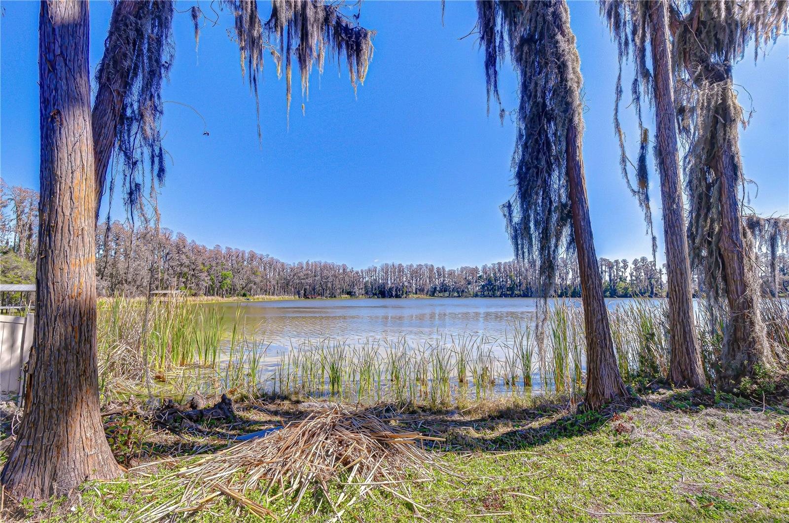 Photo of 6608 WISTERIA LOOP LAND O LAKES FL 34638