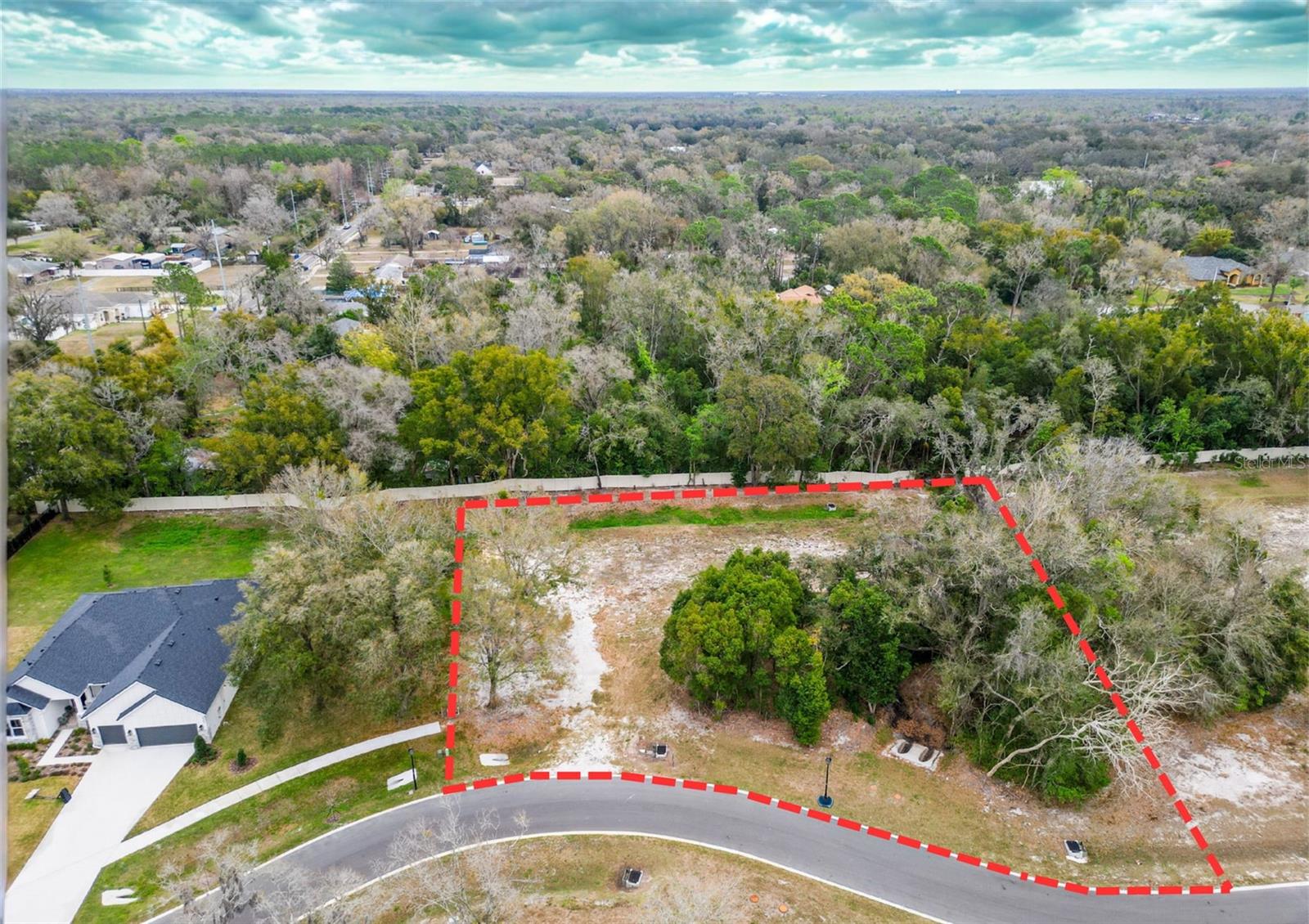 Photo of 18469 PURPLE CREEK LANE LUTZ FL 33549