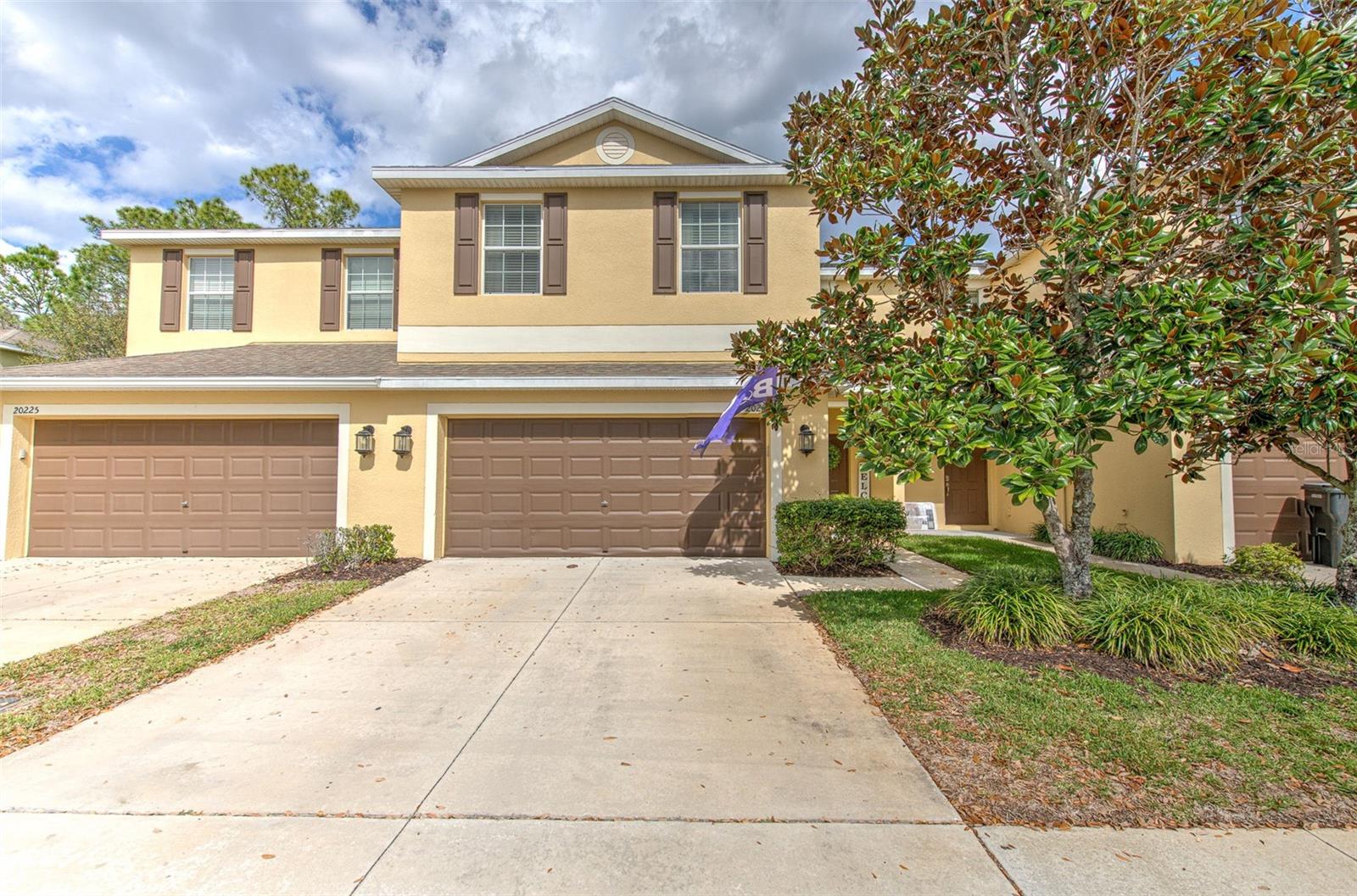 Photo of 20223 INDIAN ROSEWOOD DRIVE TAMPA FL 33647