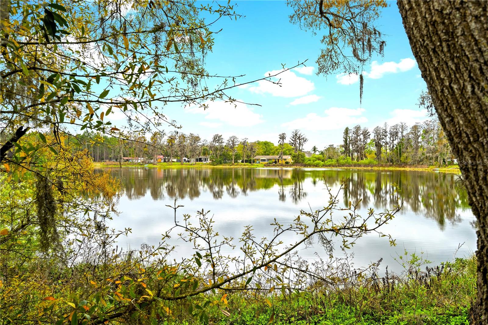 Photo of 18117 BOY SCOUT ROAD ODESSA FL 33556