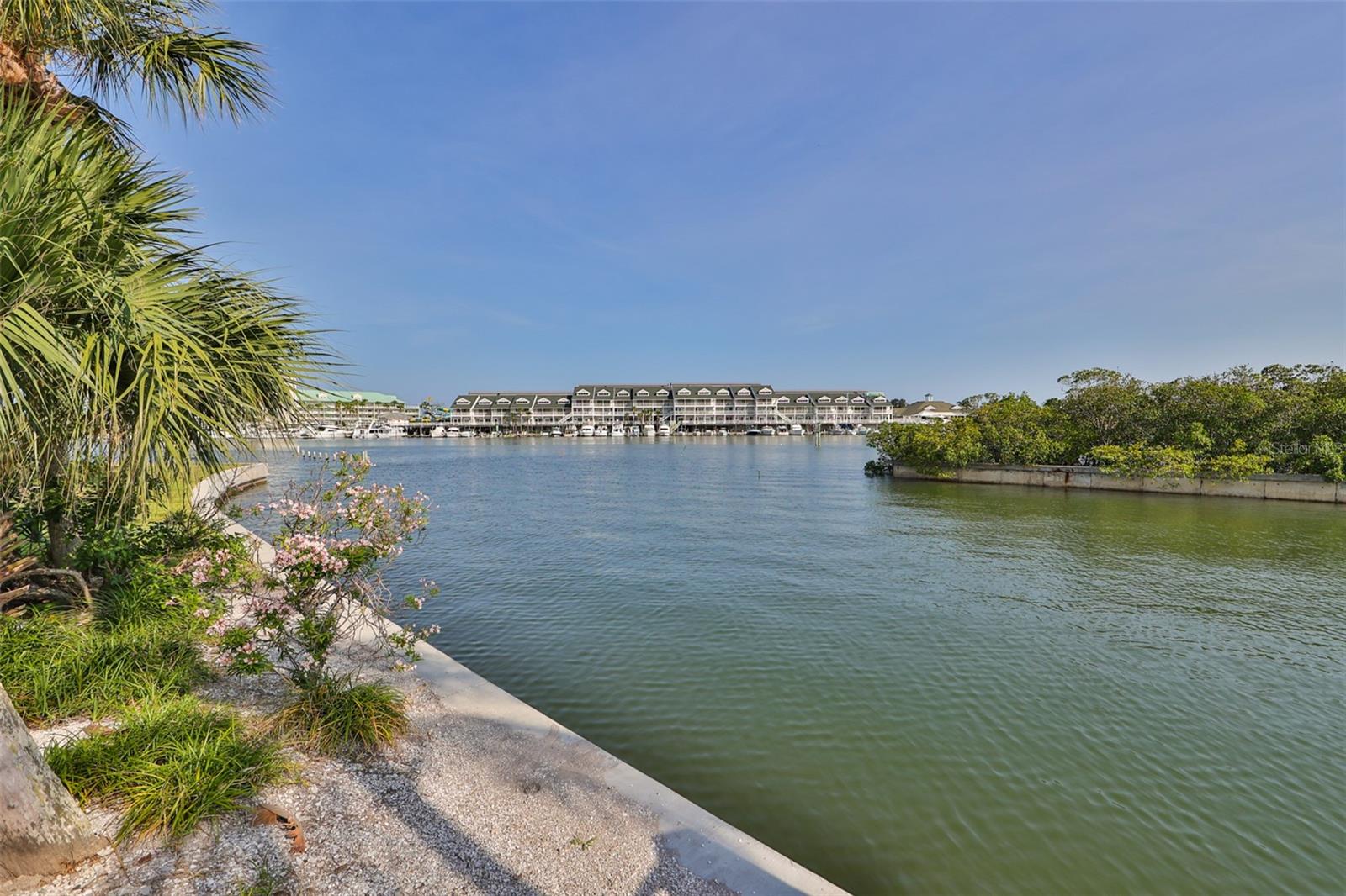 Photo of 14800 WALSINGHAM ROAD #1203 LARGO FL 33774