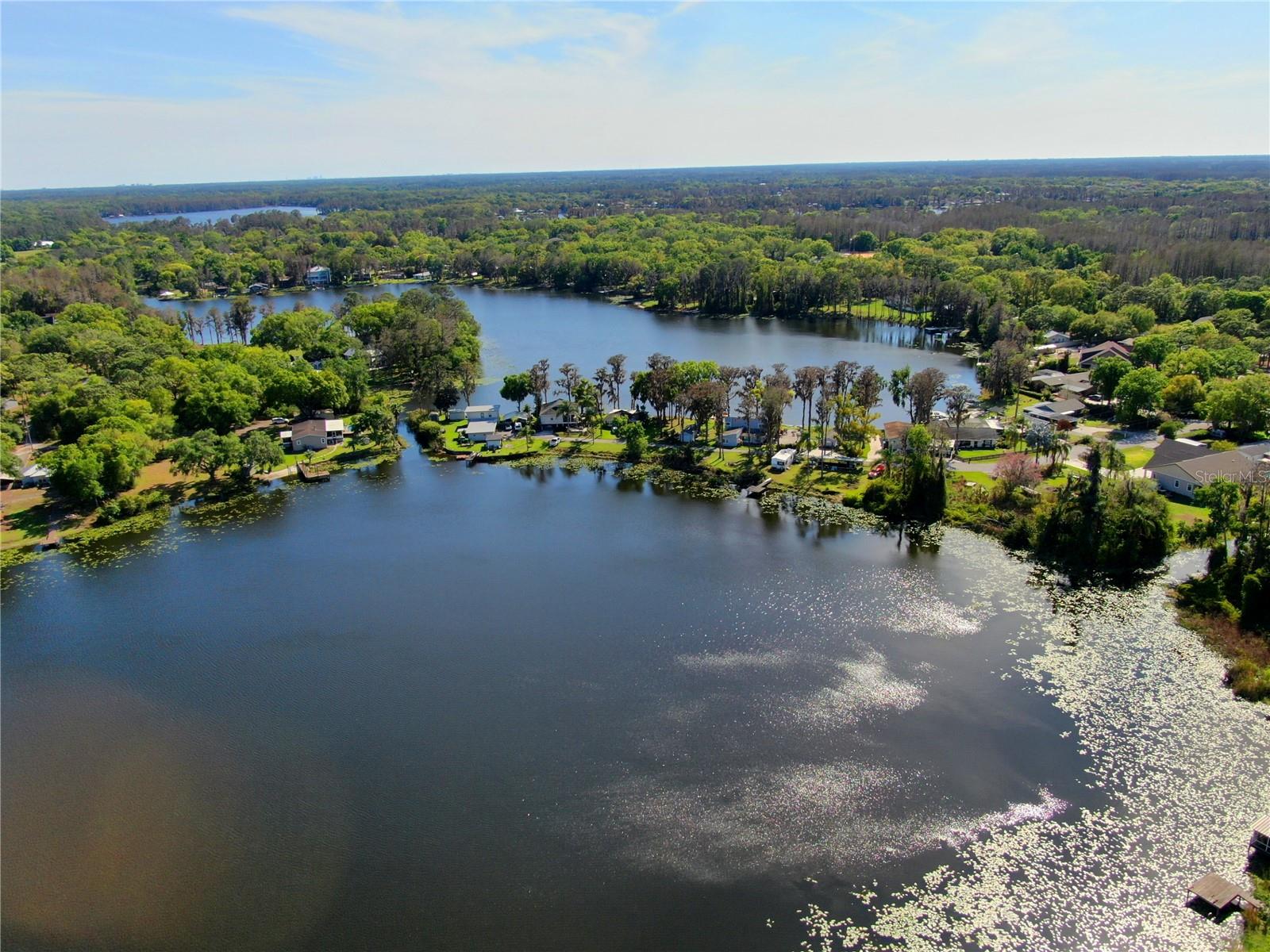 Photo of 14618 GENEVA DRIVE ODESSA FL 33556