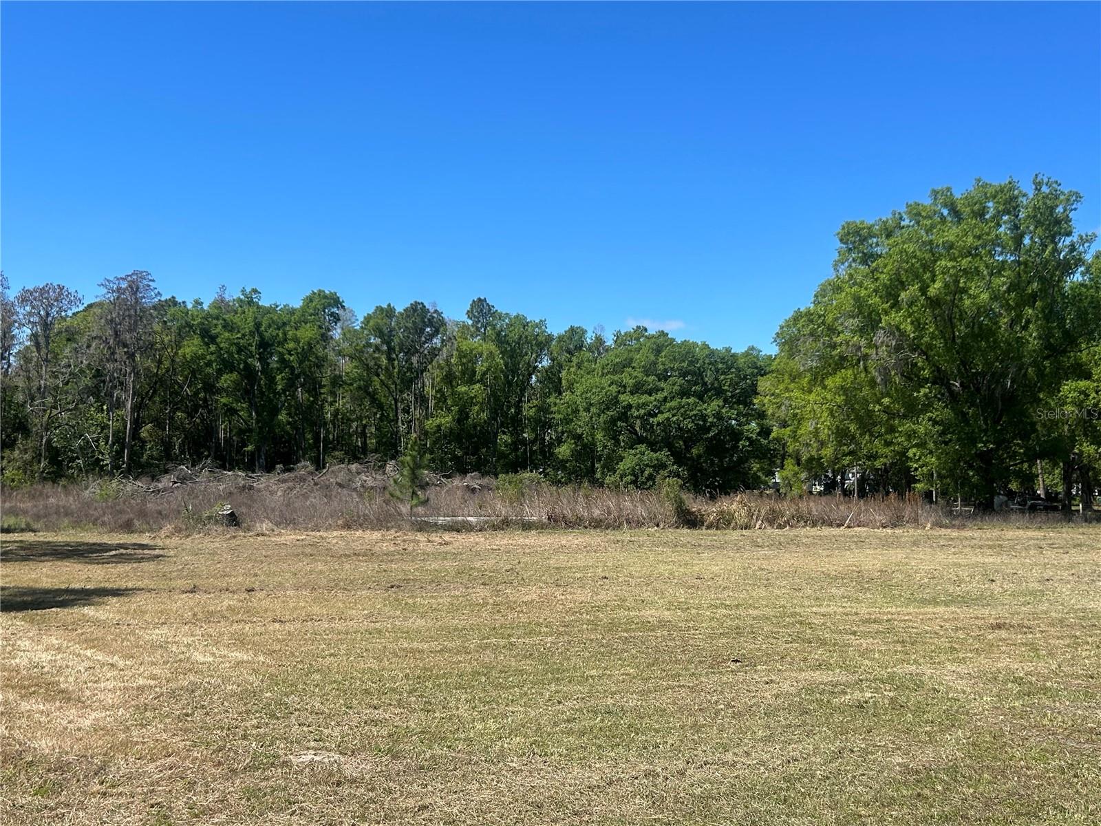 Photo of 1565 CREEK ROAD WESLEY CHAPEL FL 33543