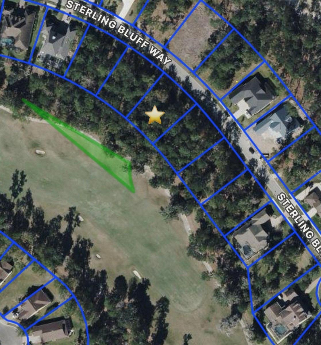 Photo of 19612 STERLING BLUFF WAY BROOKSVILLE FL 34601