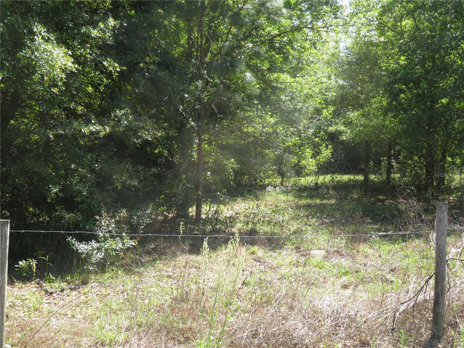 Photo of No Address Listed SAN ANTONIO FL 33576