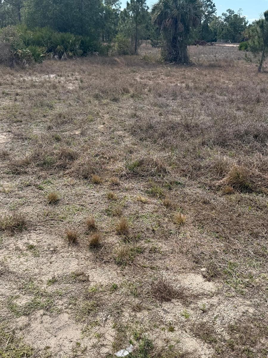 Photo of 1511 COLUMBUS AVENUE LEHIGH ACRES FL 33972