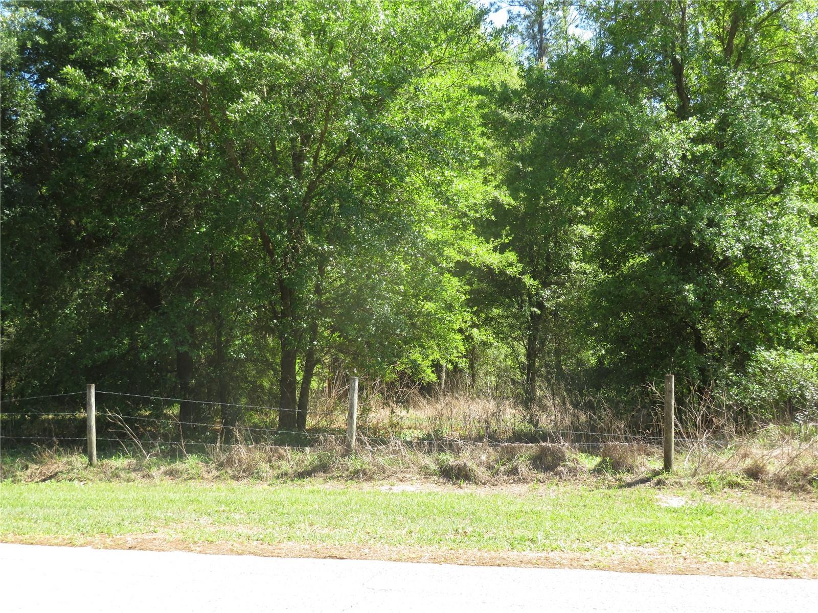 Photo of No Address Listed SAN ANTONIO FL 33576