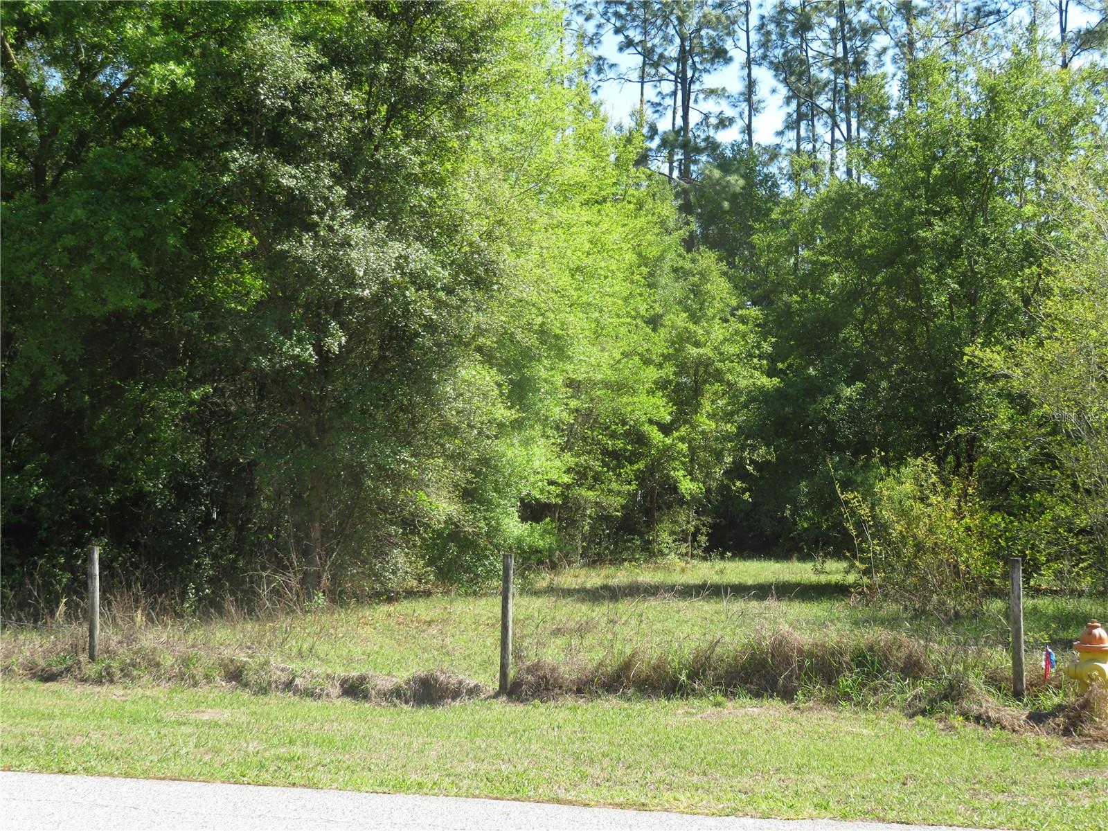 Photo of No Address Listed SAN ANTONIO FL 33576