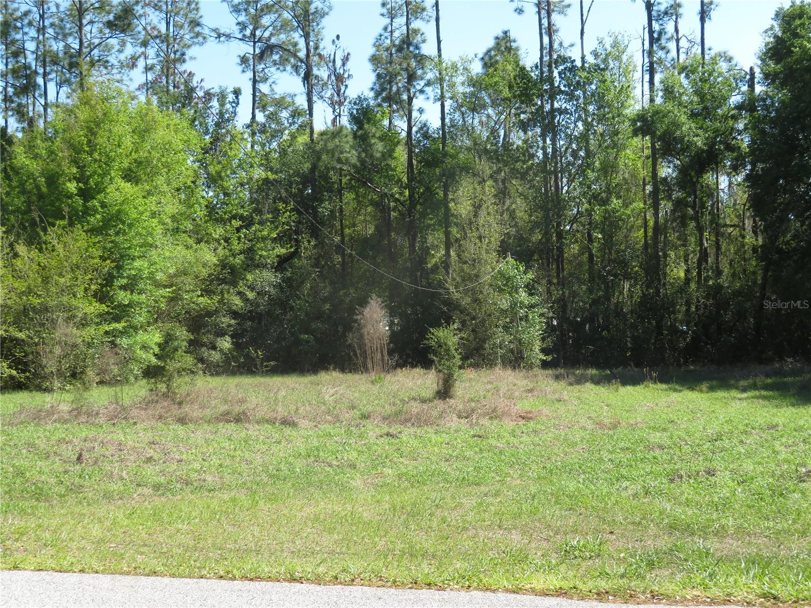 Photo of No Address Listed SAN ANTONIO FL 33576