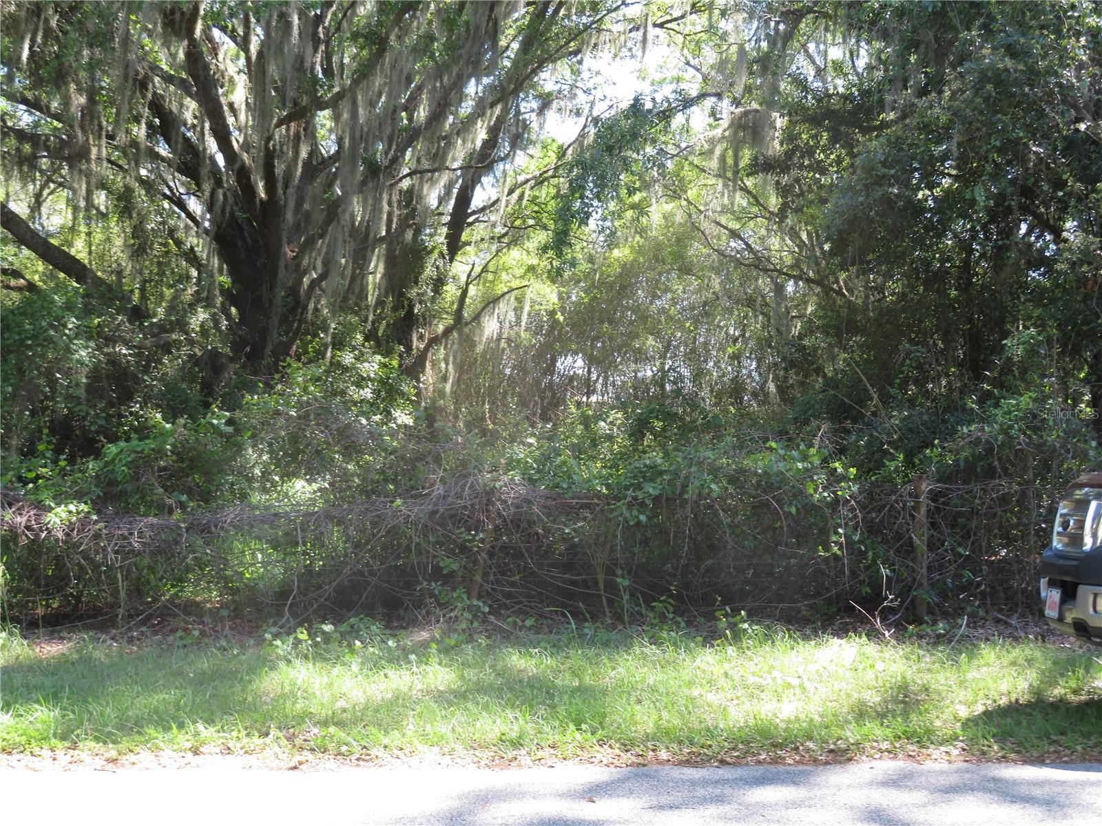 Photo of No Address Listed SAN ANTONIO FL 33576