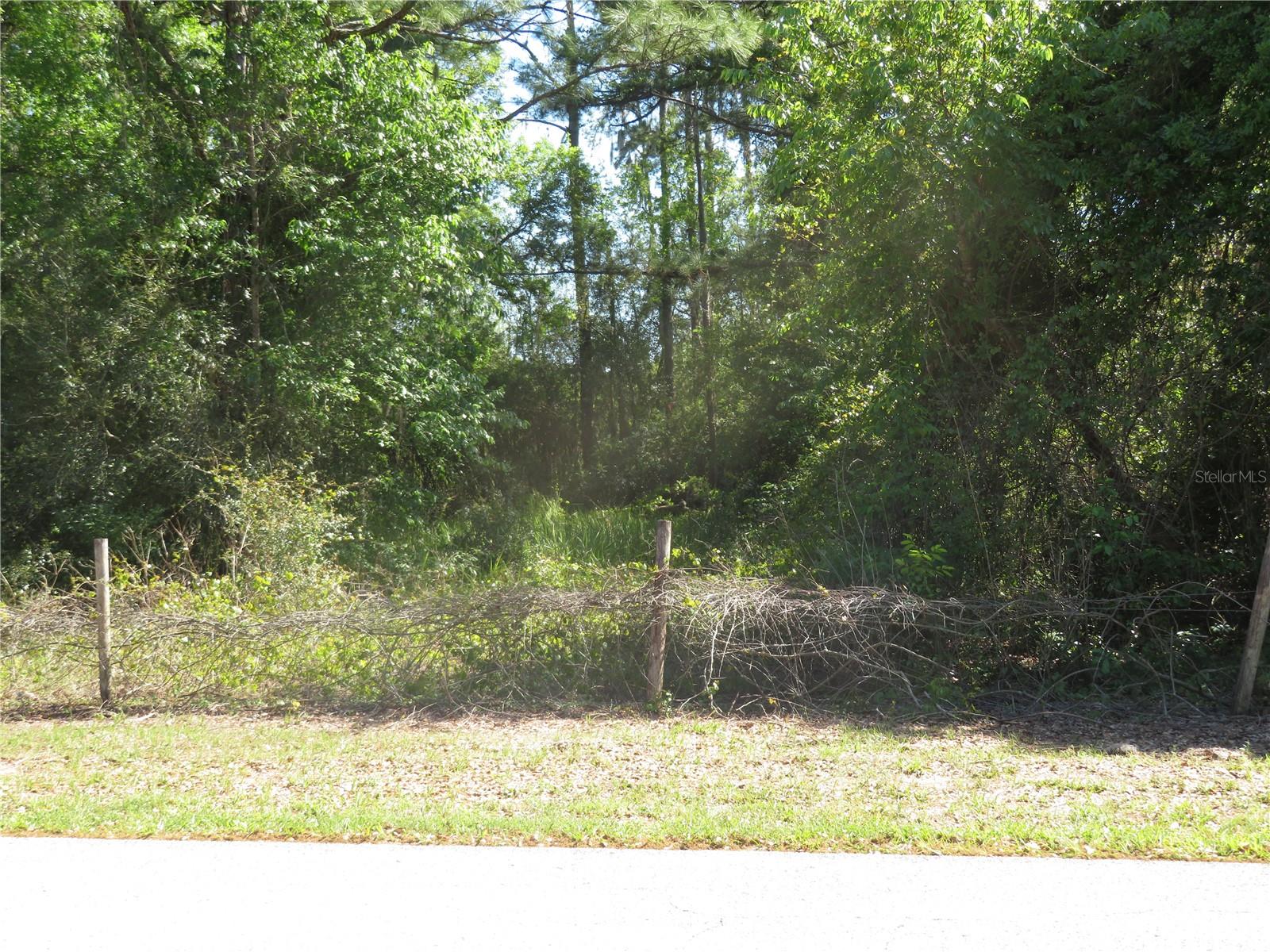 Photo of No Address Listed SAN ANTONIO FL 33576