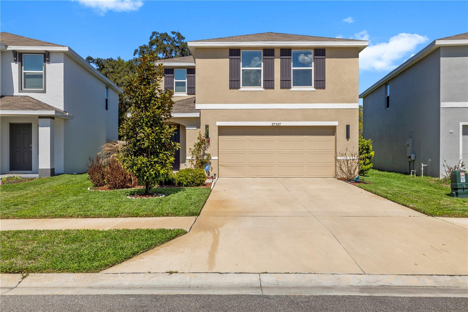 Photo of 37247 KINGS CROWN DRIVE ZEPHYRHILLS FL 33541