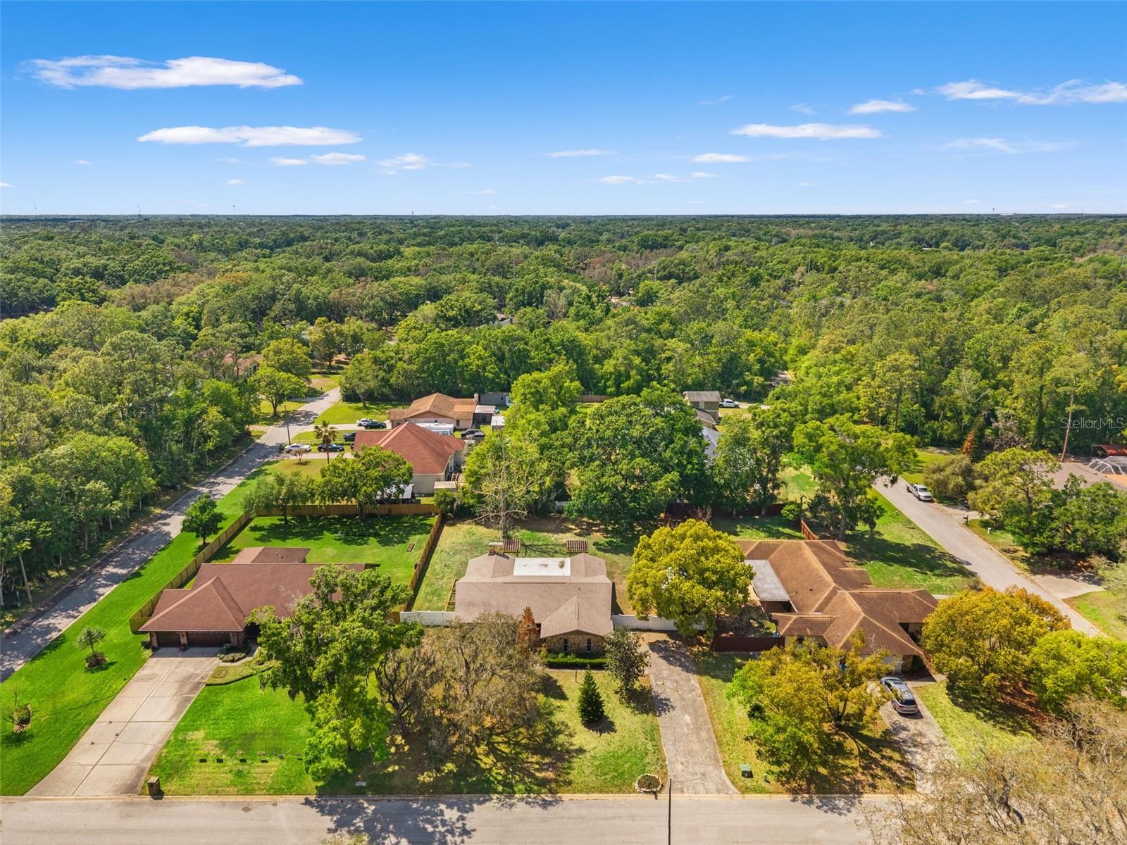 Photo of 2524 VICTARRA CIRCLE LUTZ FL 33559