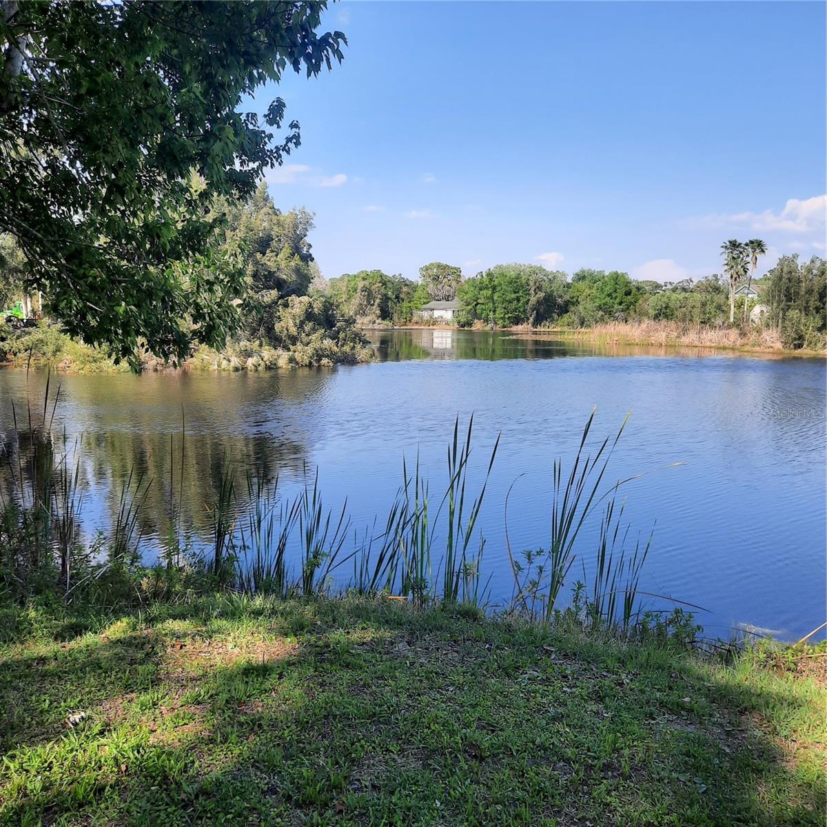 Photo of 10502 HINDS PLACE ODESSA FL 33556