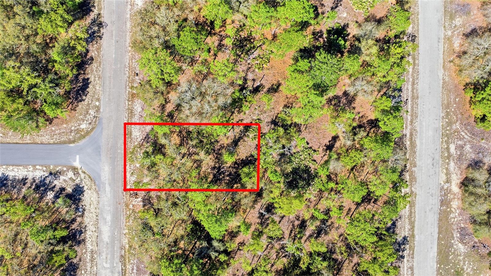 Photo of 1877 W PENDLETON STREET DUNNELLON FL 34434