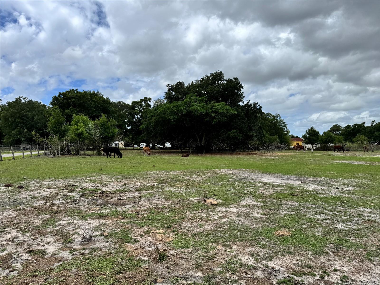 Photo of 1804 ZIPPERER ROAD BRADENTON FL 34212