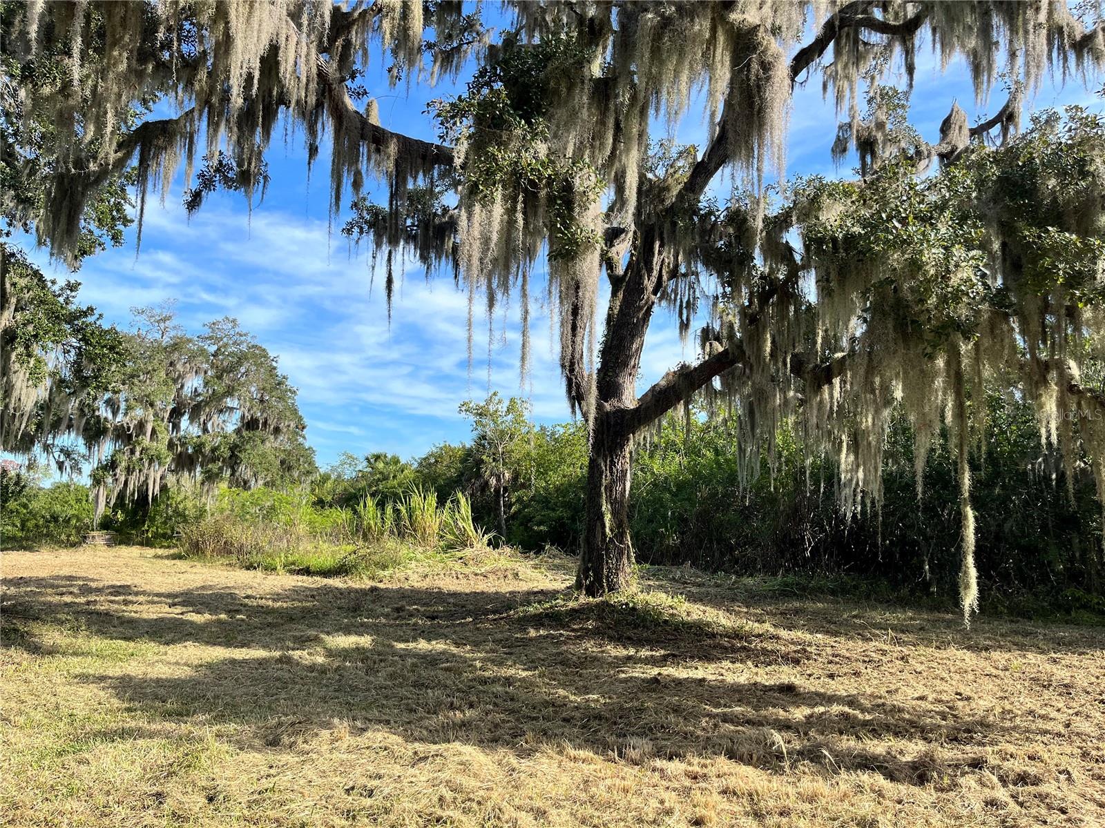 Photo of 6715 16TH AVENUE PALMETTO FL 34221