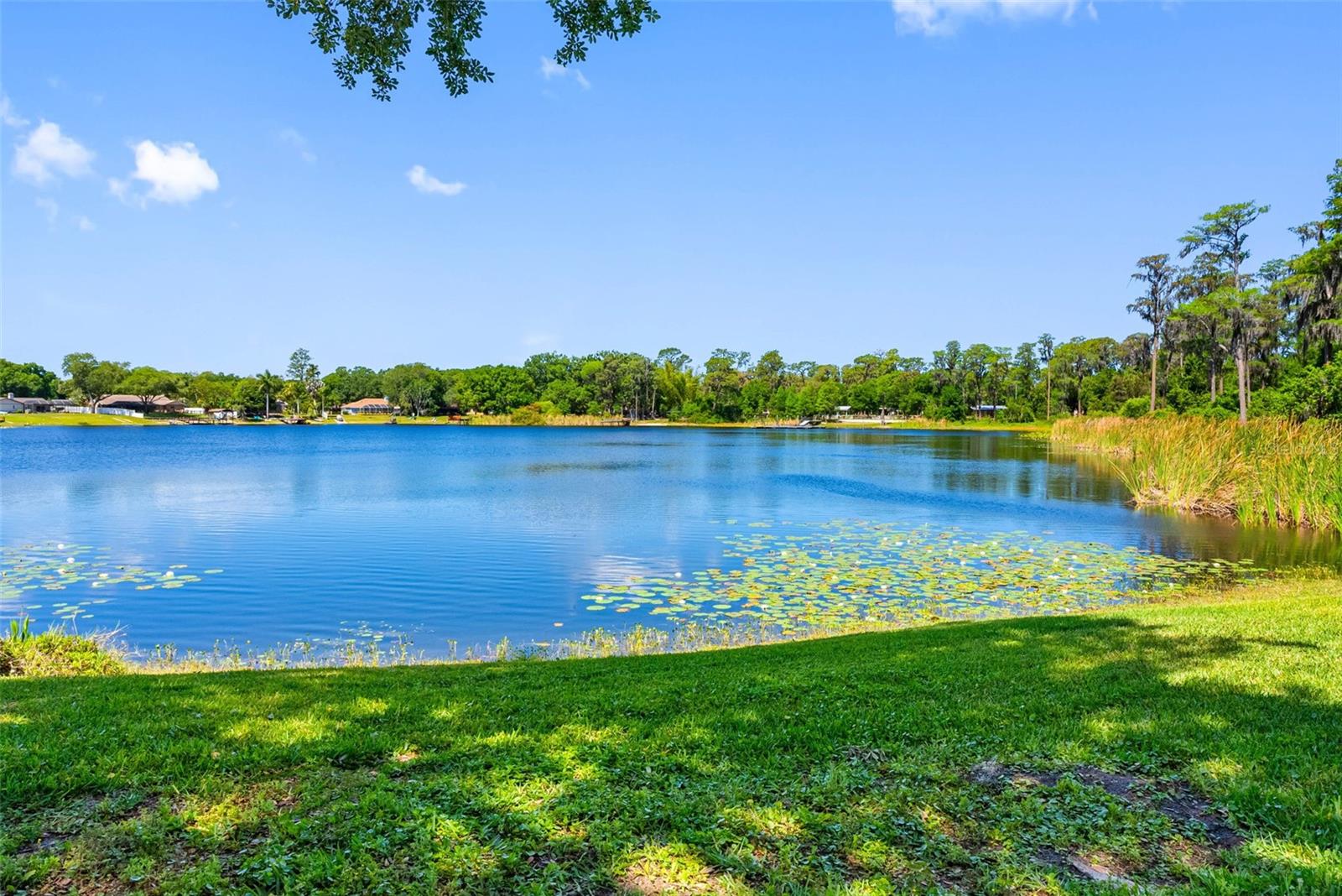 Photo of 10209 LAKE GROVE DRIVE ODESSA FL 33556