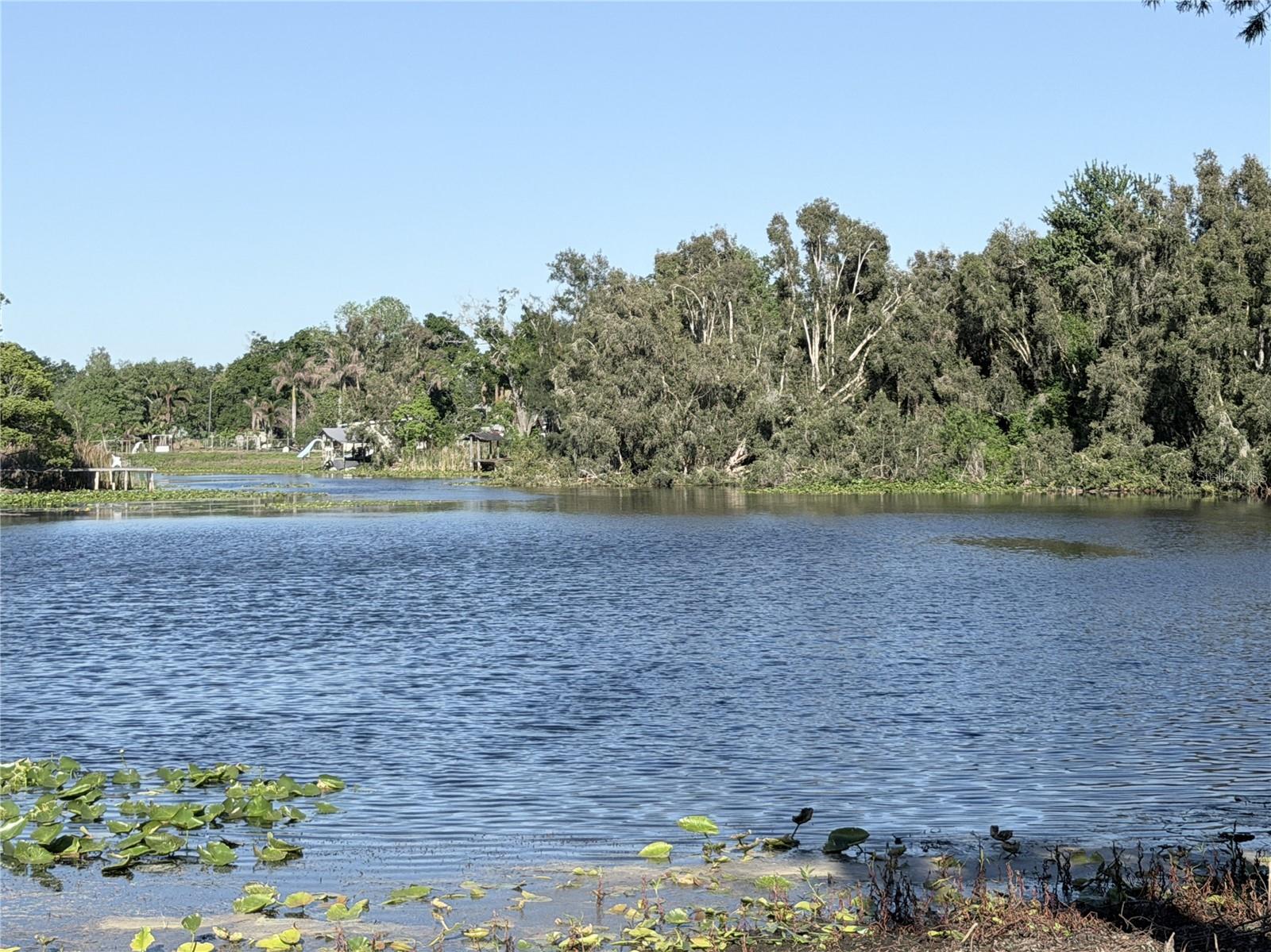 Photo of 11505 N ROME AVENUE TAMPA FL 33612