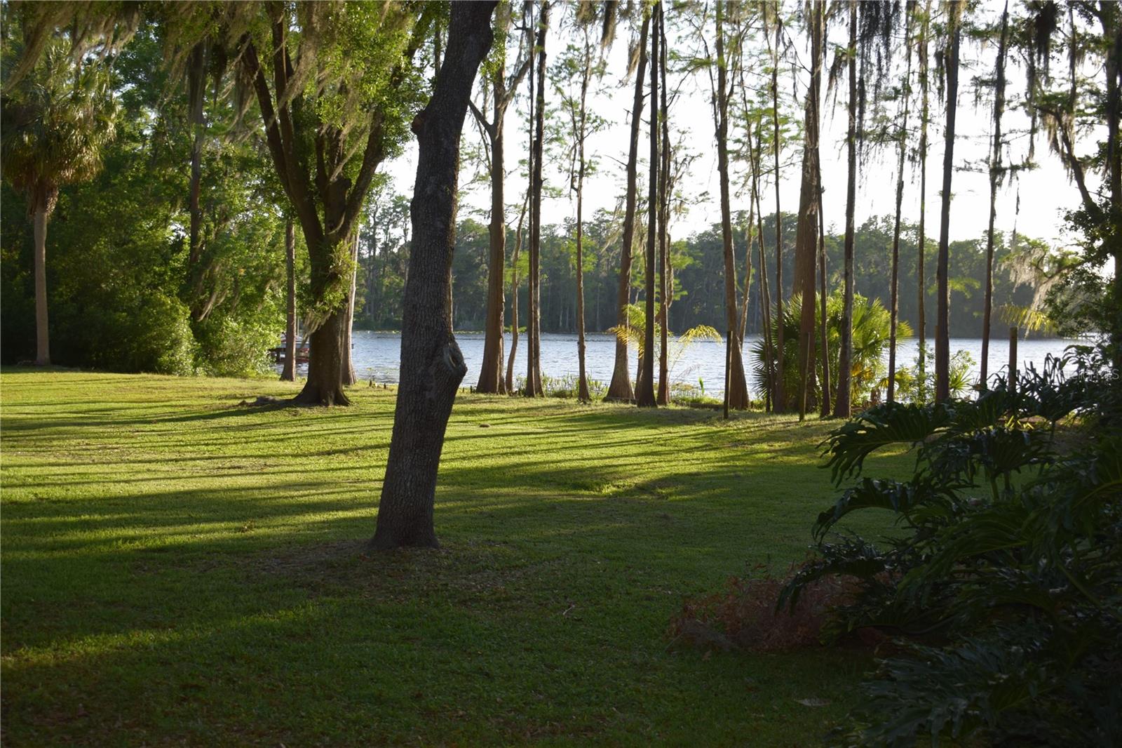 Photo of 16308 ROCK LAKE DRIVE ODESSA FL 33556