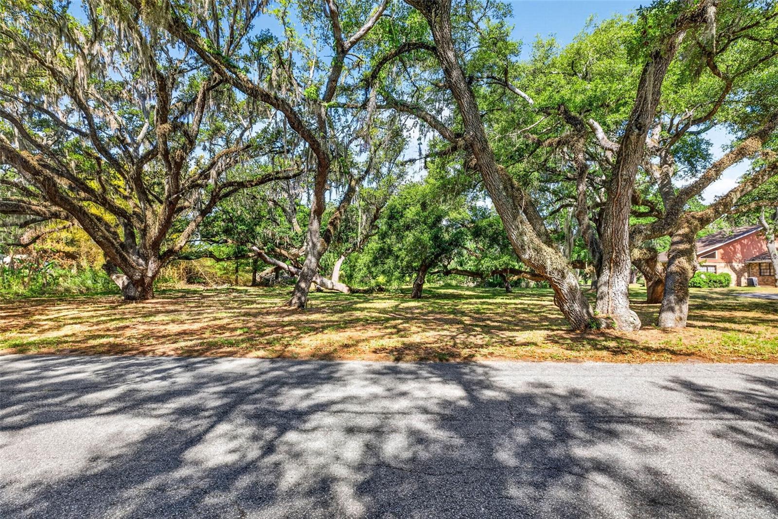 Photo of 5355 BERNADETTE DR ZEPHYRHILLS FL 33541