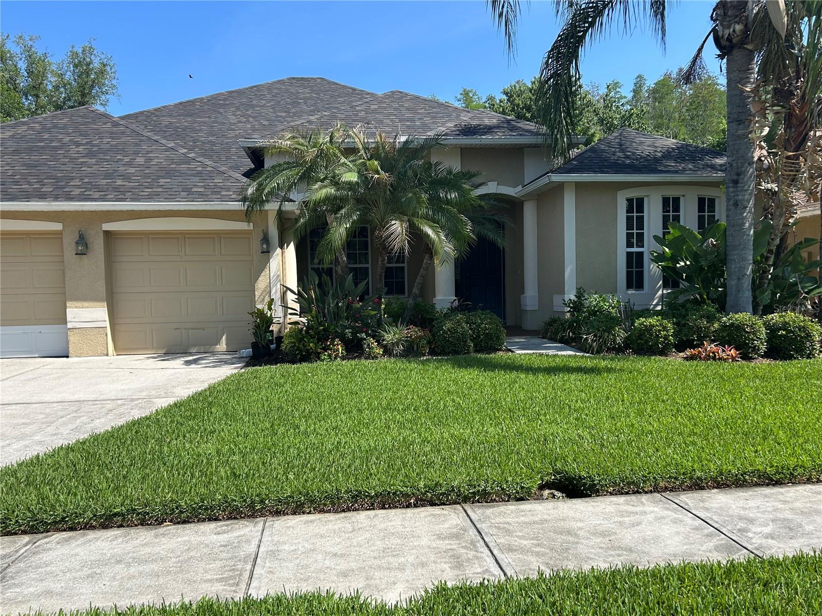 Photo of 26612 SHOREGRASS DRIVE WESLEY CHAPEL FL 33544