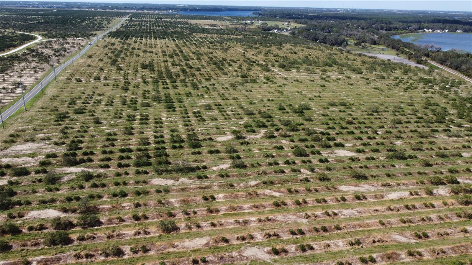 Photo of 3162 POWER LINE ROAD AVON PARK FL 33825
