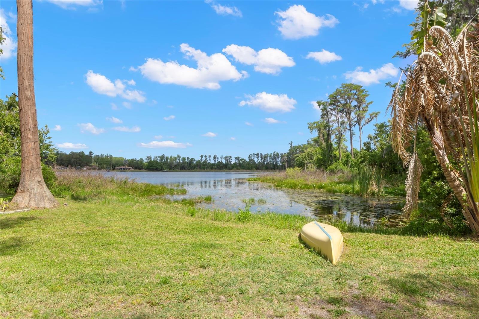 Photo of 19229 BLOUNT ROAD LUTZ FL 33558