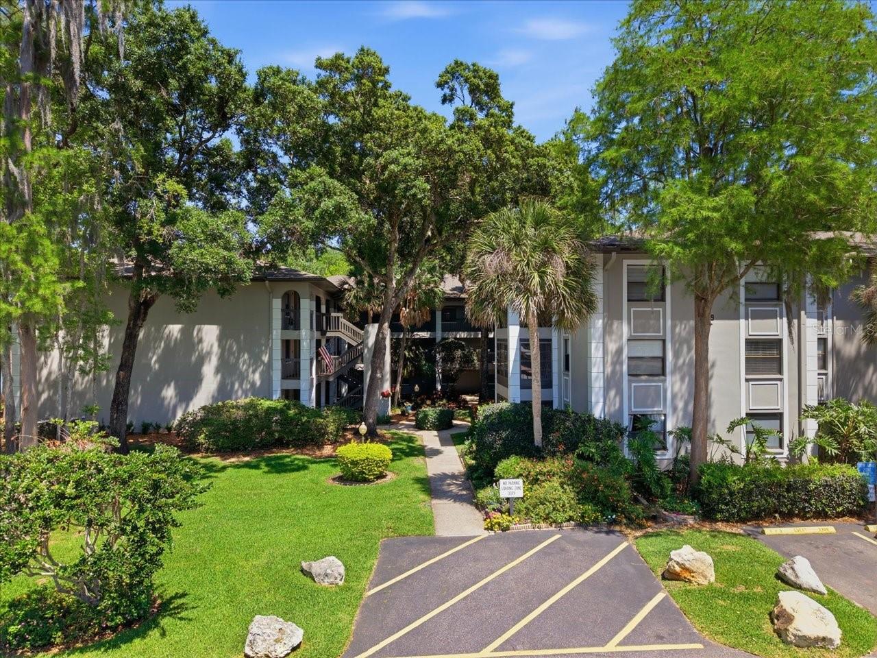 Photo of 3399 MERMOOR DRIVE #101 PALM HARBOR FL 34685