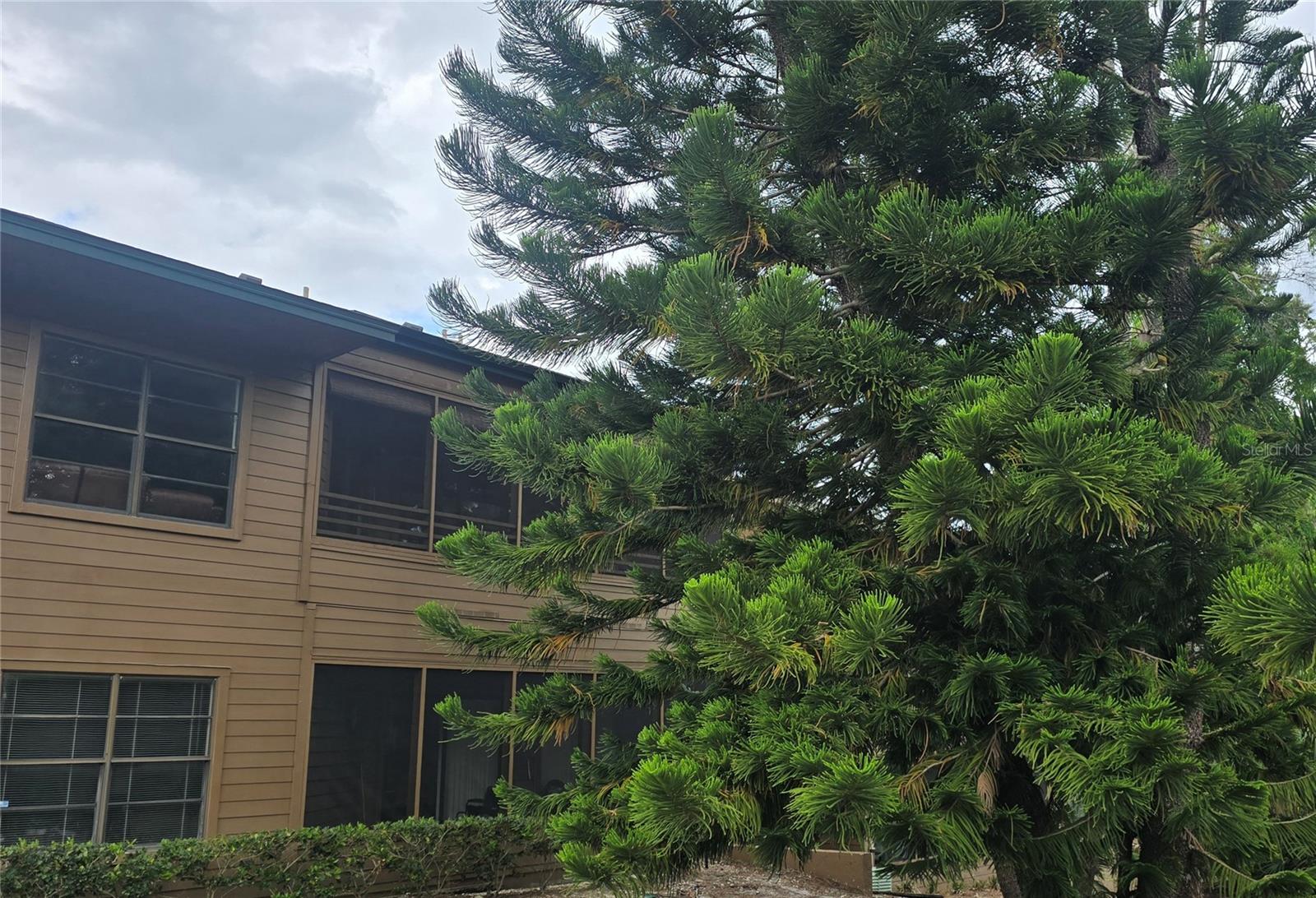 Photo of 406 LENNOX ROAD PALM HARBOR FL 34683