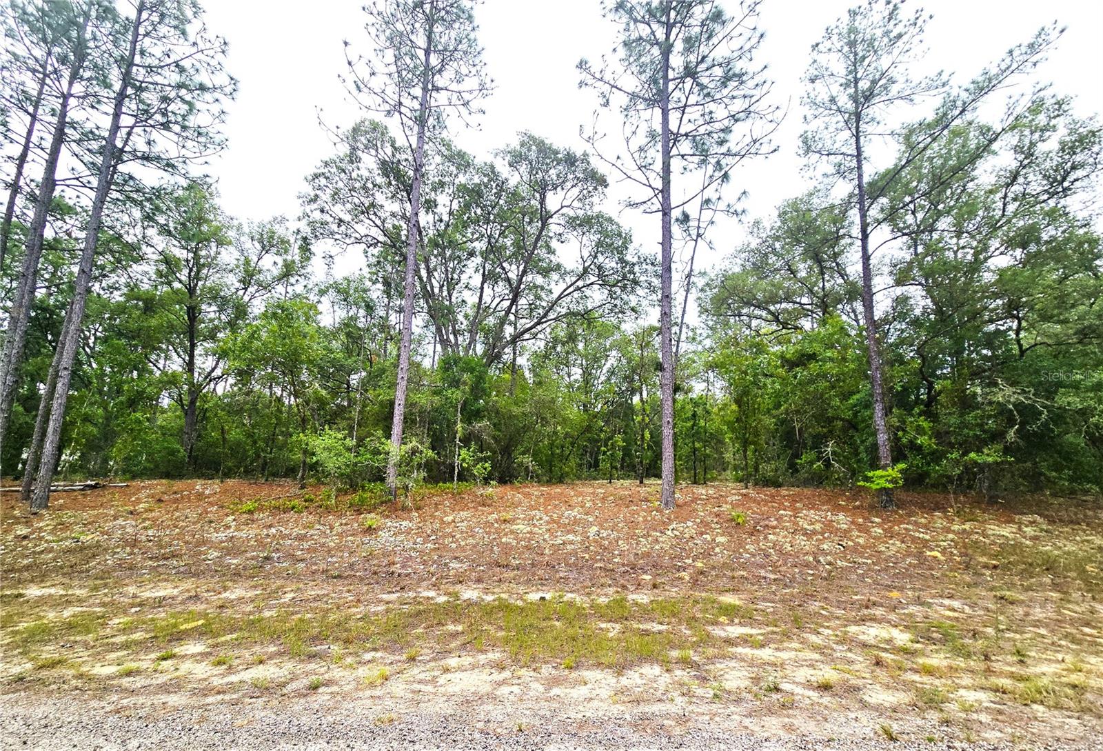Photo of 576 E NEMO DRIVE DUNNELLON FL 34434