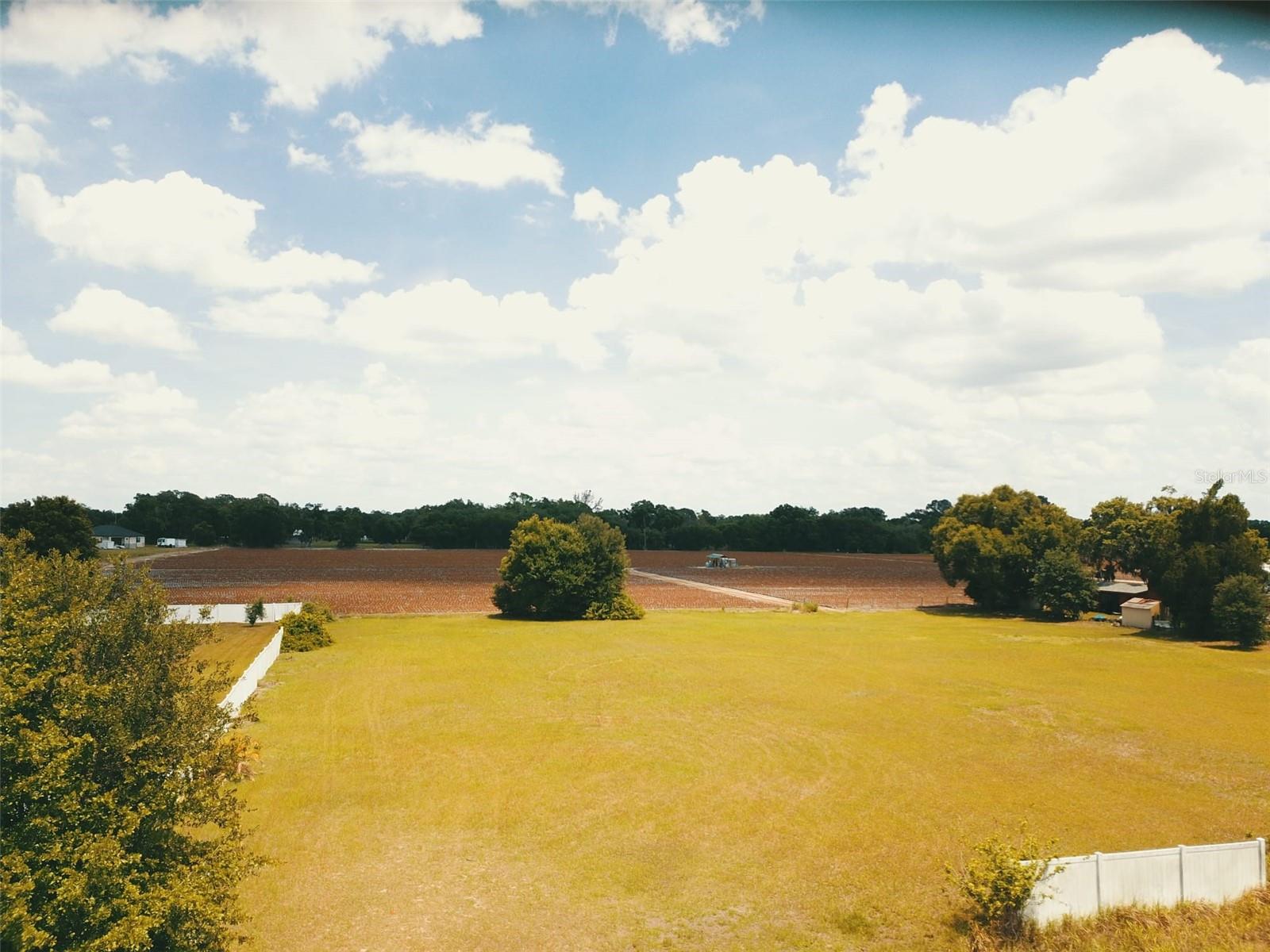 Photo of 13419 COCOPAH LANE DOVER FL 33527