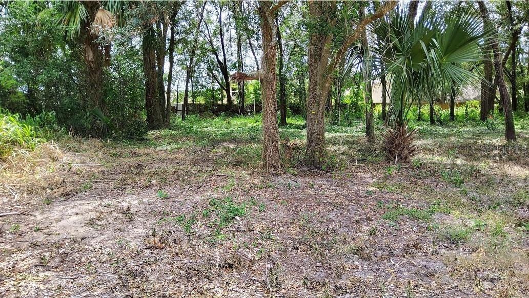 Photo of 25050 ALGONQUIN AVENUE MOUNT PLYMOUTH FL 32776