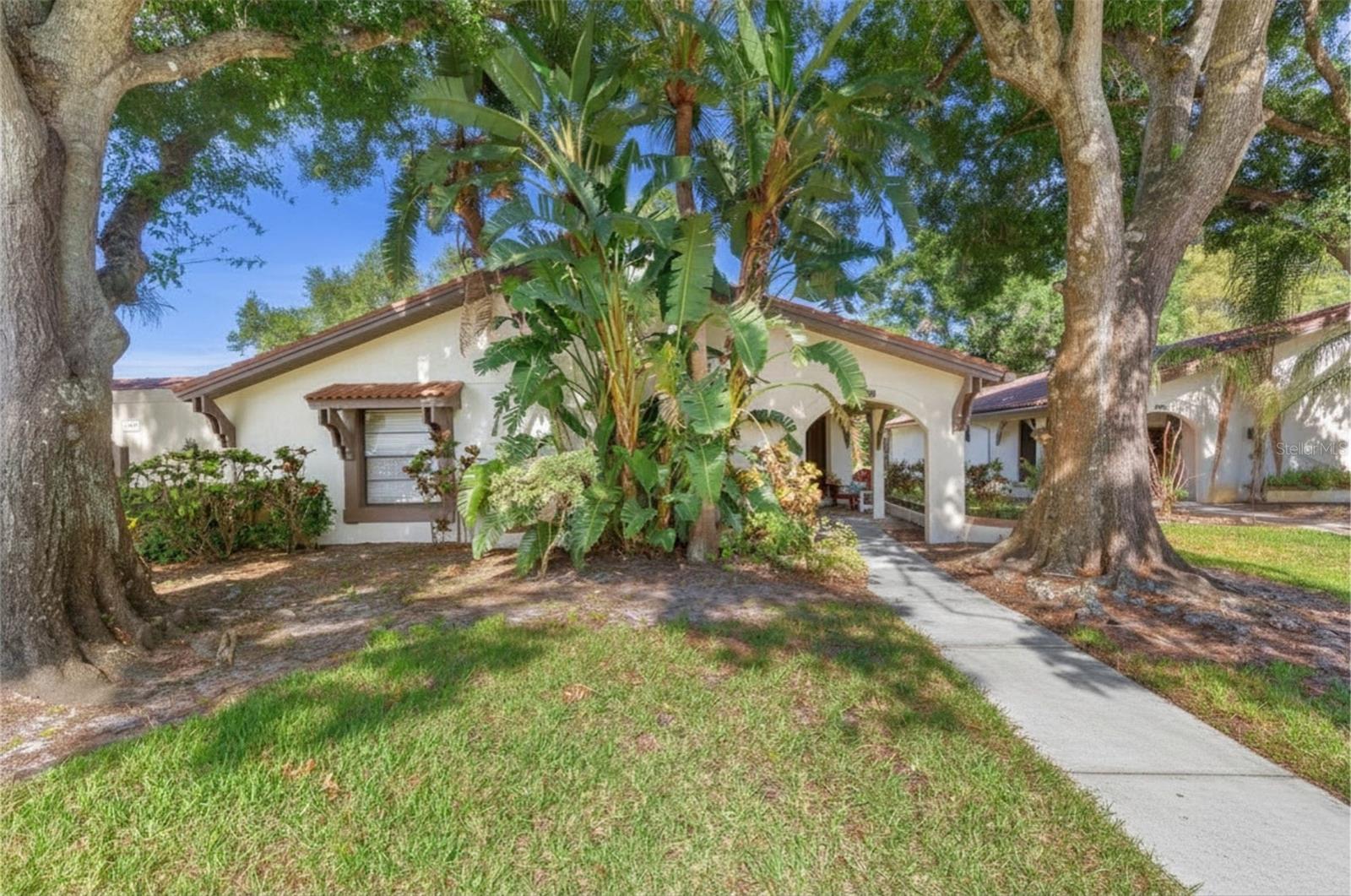 Photo of 3446 TARPON WOODS BOULEVARD PALM HARBOR FL 34685