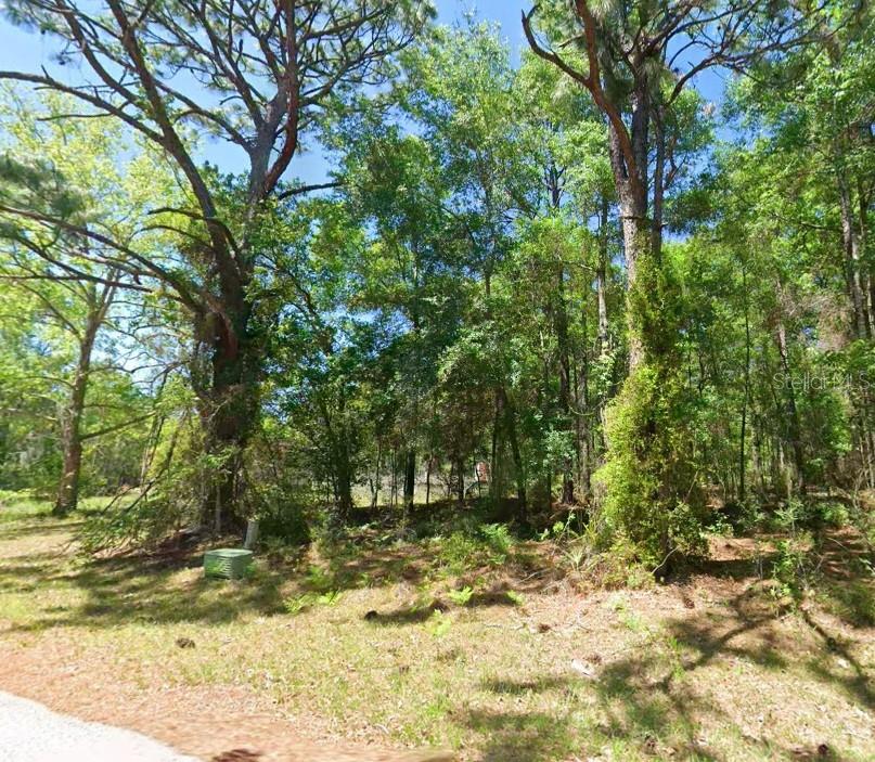 Photo of 2581 W PHARAOH COURT #28 LECANTO FL 34461