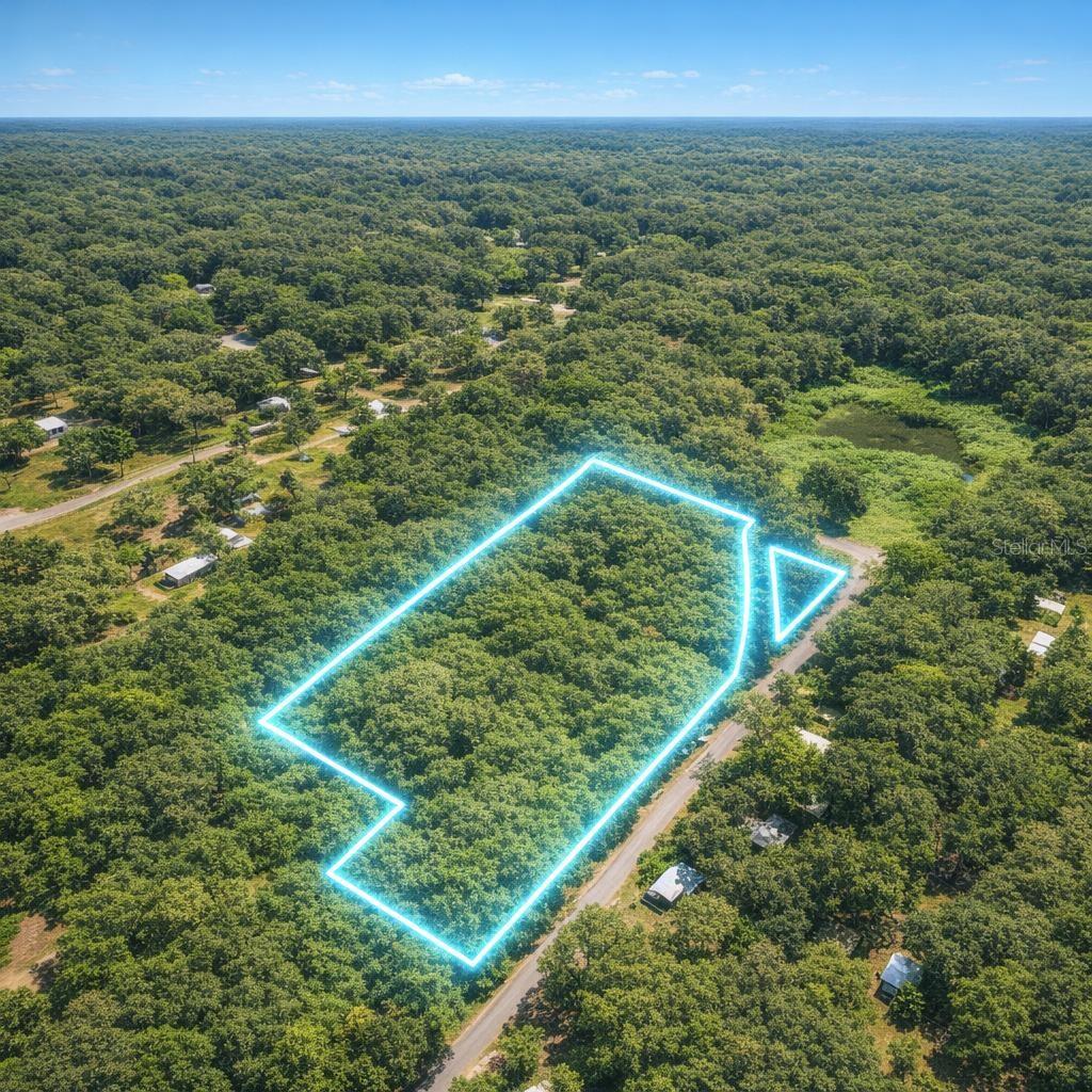 Photo of BROWARD AVENUE POMONA PARK FL 32181