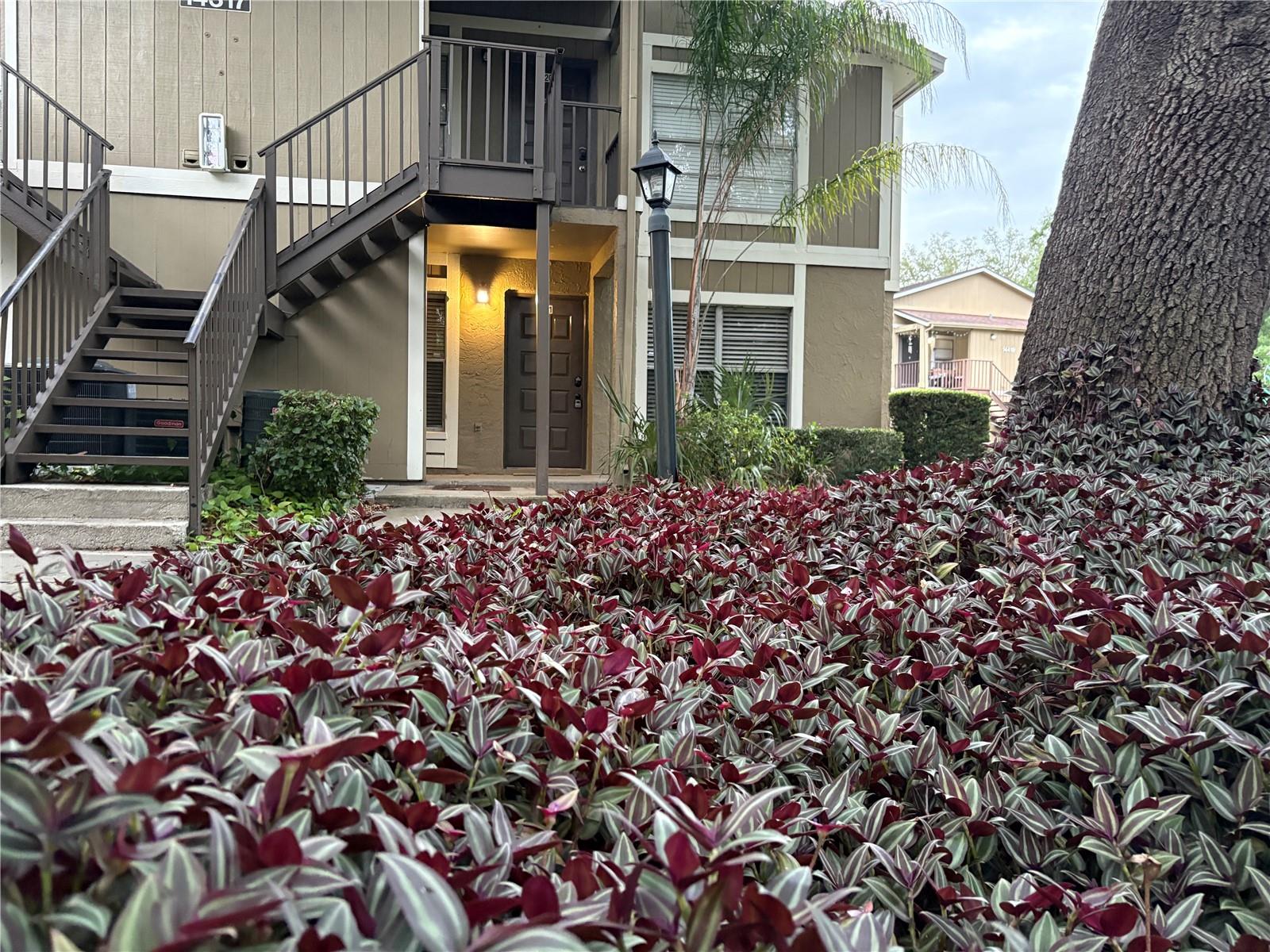 Photo of 14317 HANGING MOSS CIRCLE #101 TAMPA FL 33613