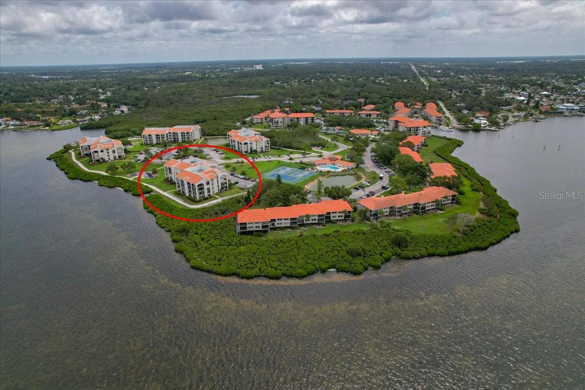 Photo of 401 MARINER DRIVE #401 TARPON SPRINGS FL 34689
