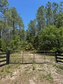 Photo of NE HWY 353 OLD TOWN FL 32680