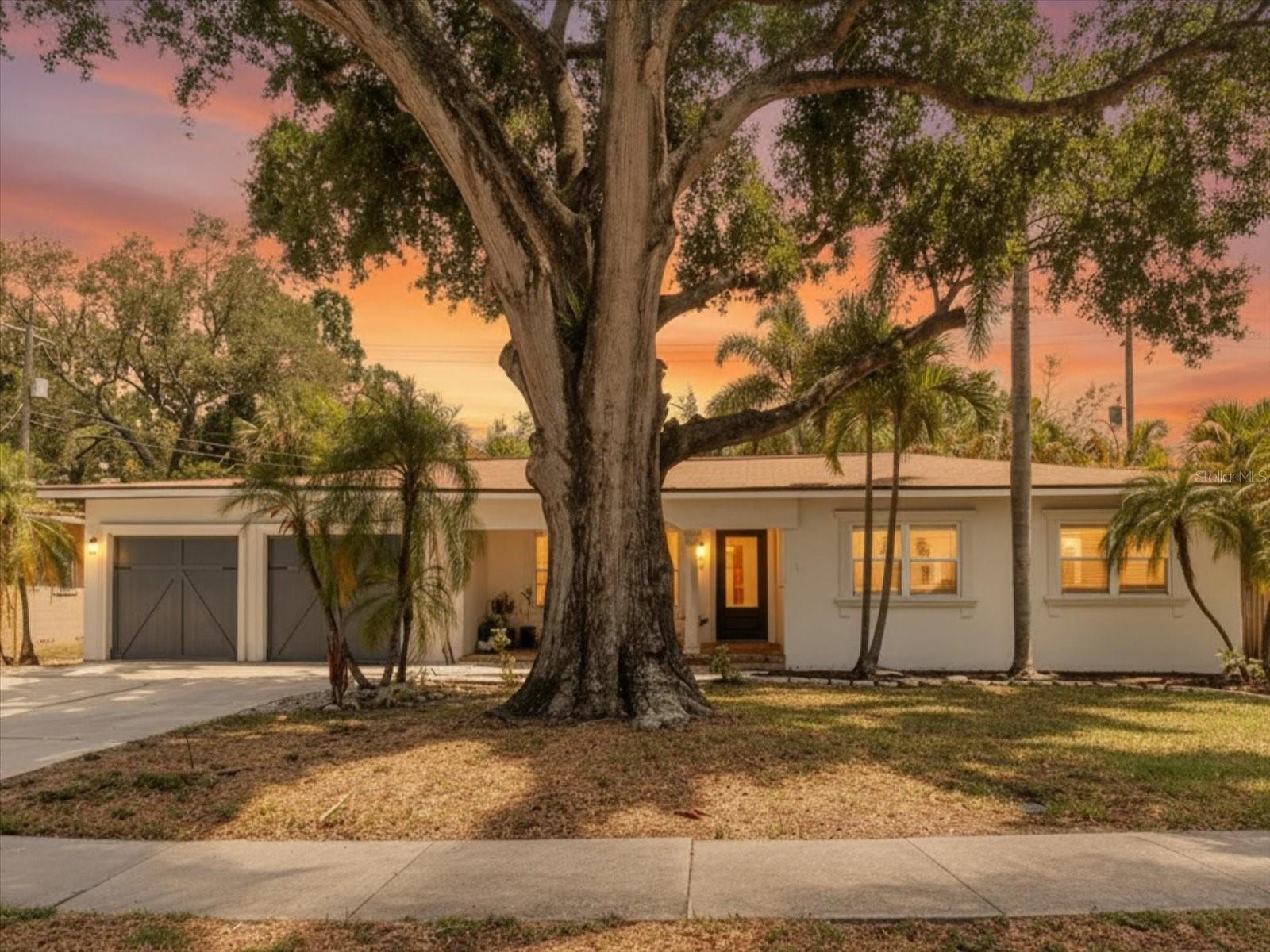 Photo of 3138 W EUCLID AVENUE TAMPA FL 33629